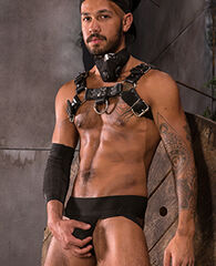 Talon Reed