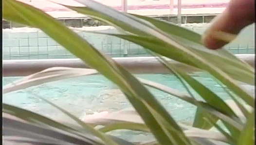 Poolside Heat: Martin Valko Daniel Valents Steamy Encounter – FalconStudios 18+