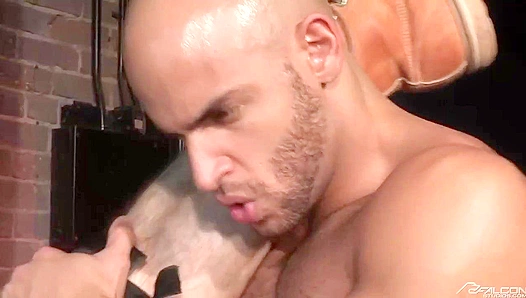 Paul Wagner Sean Zevran Unleash Pure Passion in Raw Gay Fury – Naughty Nymphos, Falcon