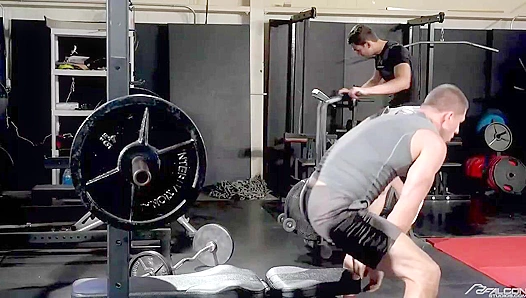 Roman Todd Alexander Muller Go Wild During Steamy Gym Session – Falcon Studios