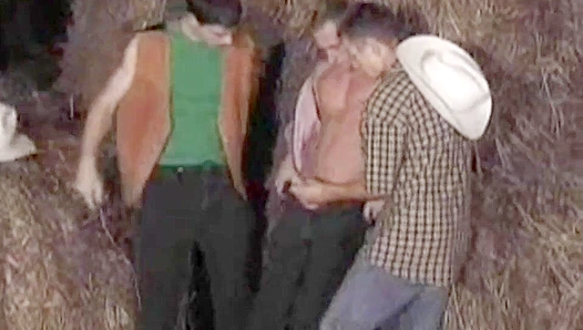 Robert Driveman Unleashed at Wild Naked Gay Bash – Huge Hard Cock Dominance Inside