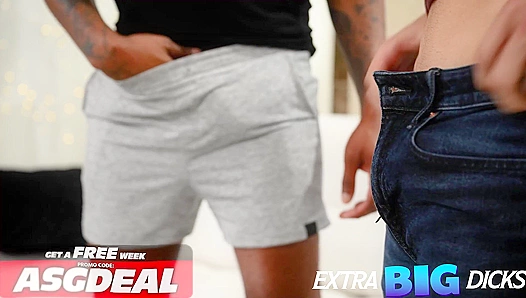 Big Asses, Bigger Cocks: Jacked Hard Pounded Deep – PrideStudios 18+
