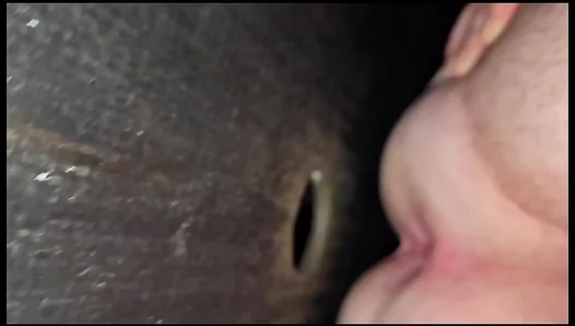 King Goes Wild in Public Booth With Two Hung Studs – Steamy Anal Encounter 18+