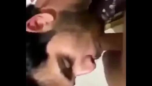 Hungry for Heat: Seductive Slav Sucks Strokes Like Fire – NaughtyLads 18+