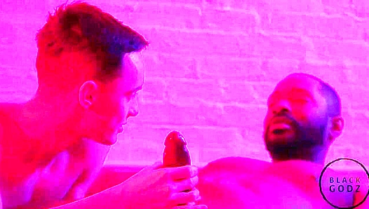 Lawrence Portland Breeded Hard by Massive stud Joe EX – BlackGodz
