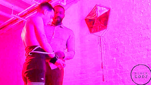 Lawrence Portland Breeded Hard by Massive stud Joe EX – BlackGodz