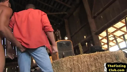 Massive Stallion Double Penetrates Hung Rancher — Wet, Raw Rough Anal Madness