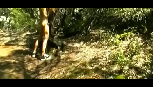 Naughty Young Stud Moans Loud JERKING OFF Outdoors – 18+