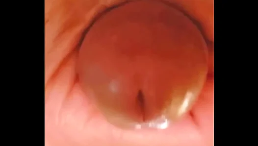 Sensual Blowjob Mastery: Hot Amateur Worships His Own Hard Cock – 18+