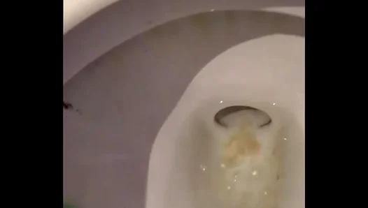 Cum Drips from My Ass as I Jack Off in the Stall – HotSoloGay 18+