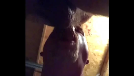 Bareback Heat: Two Amateurs Fuck Wildly in Hidden Garage Session – 18+