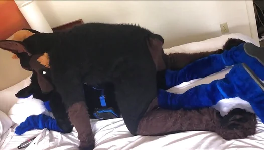 Kairo Murr Gets Dominated in Hardcore Furry Doggie Action – 18+