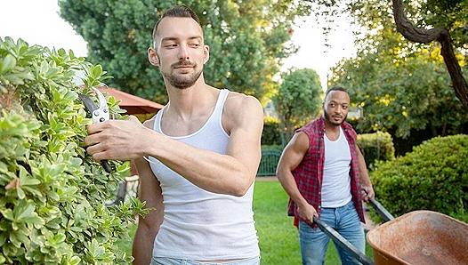 Dillon Diaz Johnny B Ignite Passion in Hot Interracial Action – IconMale