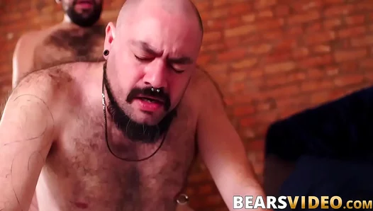 Tony Rivers Dominates with Raw Power: Steamy Bareback Action – HotBearSex 18+