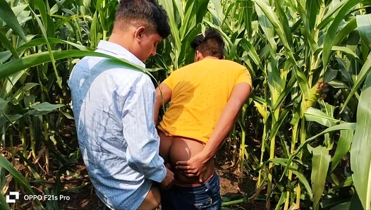 Young Stud Tempts Prof in Golden Cornfield Passion Flick – CollegeCrush 18+