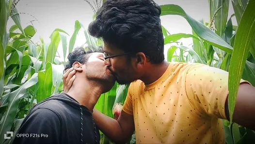 Hot Steam in the Fields: Two Cocks Collide Amid Moans Laughs – GayPornX 18+