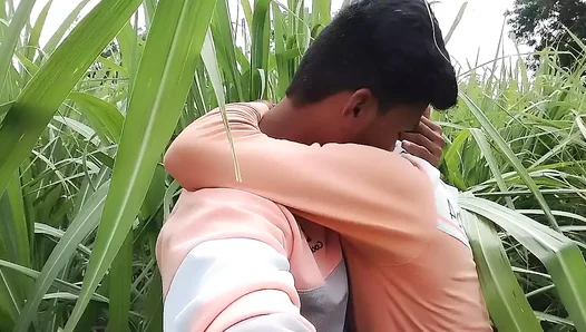 Passion Ignites in the Canefields: Steamy Gay Tryst Under the Indian Sun – 18+