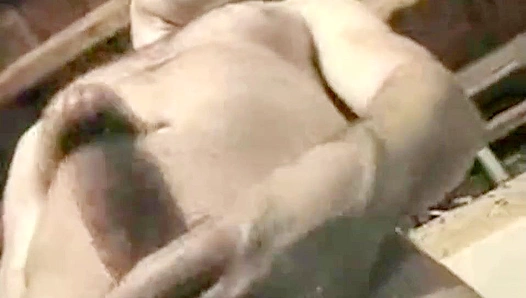 Austins Massive Post-Workout Load: Jerking Off for Relief – GayMuscle 18+