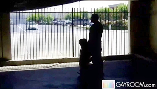 Steamy Encounter: Hidden Parkade Blowjobs Turn into Hot Dual Pleasure – GayXXX