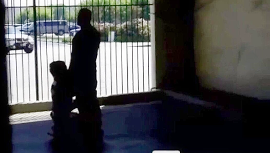 Steamy Encounter: Hidden Parkade Blowjobs Turn into Hot Dual Pleasure – GayXXX
