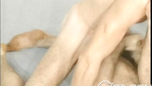 Horny Bearded Studs Share Hot Retro Anal Action – Falcons Den