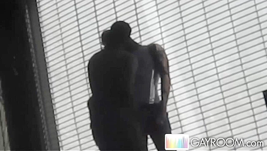 Hot Steamy Hookup in the Park – Wild Gay Romance Sparks Fire – GayRoom