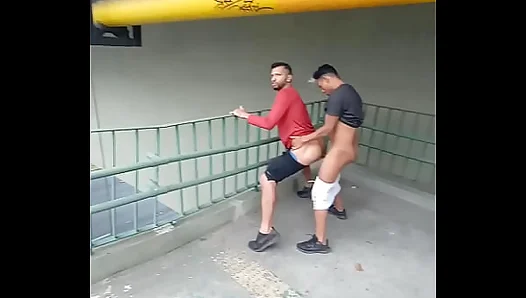 Big Cocks Collide: Steamy Outdoor Encounter Turns Filthy Fast – GayPornHub 18+