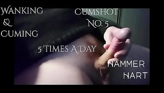 Wanking Cuming 5 Times A Day - Cumshot No. 5 - Hammer Hart