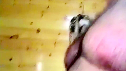 Chubby Cuties Heat Up: Horny Twinks Share Thick Cocks — BonusHunks 18+