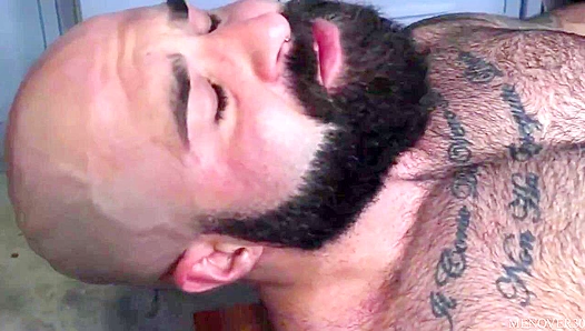 Atlas Grants Raw Ride: Mature Muscle Bears Clash Hard — Montreal Rough Play