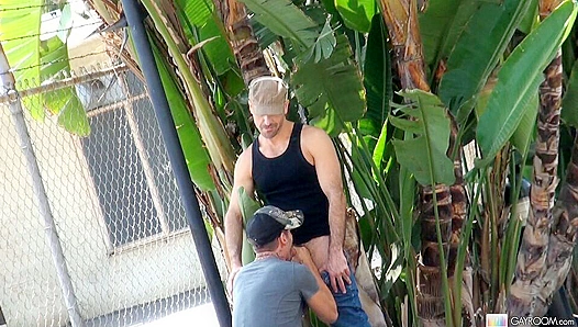 Tristan Mathews Gives Mind-Blowing Public BJ – Intense GayRoom POV Action